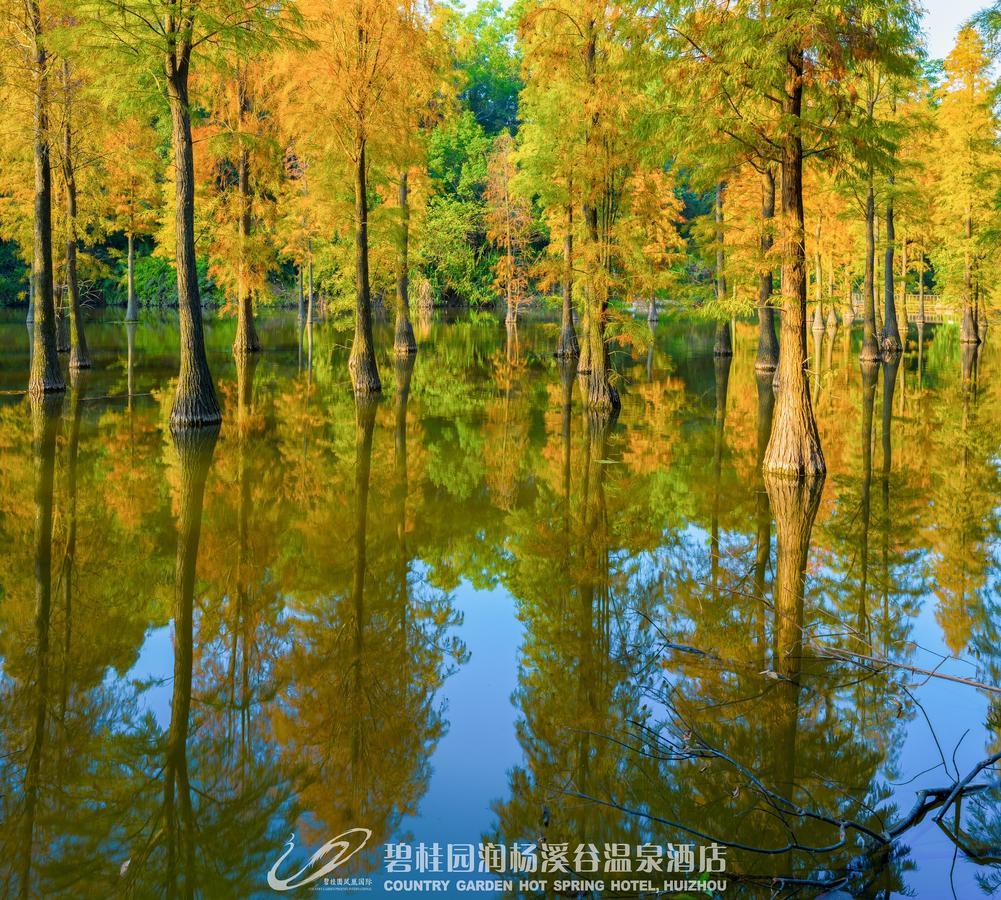 Country Garden Hot Spring Hotel Huizhou Huizhou  Eksteriør bilde