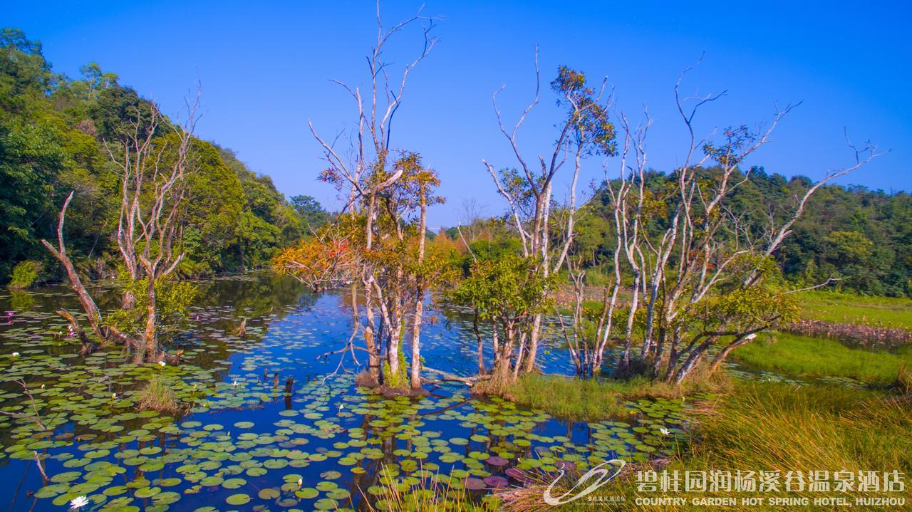 Country Garden Hot Spring Hotel Huizhou Huizhou  Eksteriør bilde